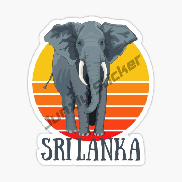 Fashion Car Sticker Sri Lanka  - Laptop Accessories Sri Lanka recensione e prezzo
